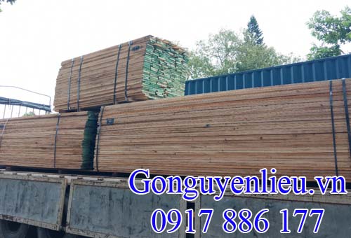 Bán gỗ Ash (gỗ Tần Bì) xẻ sấy giá rẻ