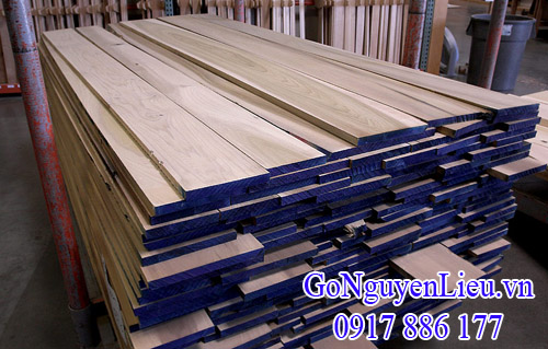 gỗ dương - gỗ poplar nhập khẩu