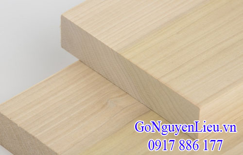 gỗ bạch dương - gỗ poplar