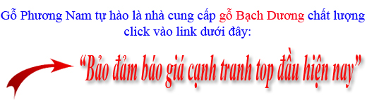 giá gỗ bạch dương nhập khẩu