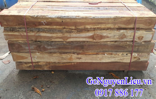 gỗ teak - gỗ giá ty nguyên liệu thô