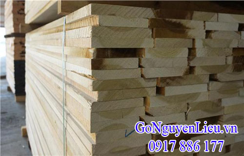 gỗ bạch dương (gỗ poplar) nguyên kiện