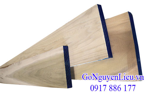 gỗ bạch dương (gỗ poplar) xẻ sấy