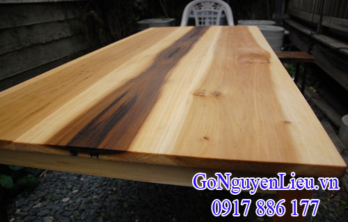 gỗ bạch dương (poplar) làm nội thất