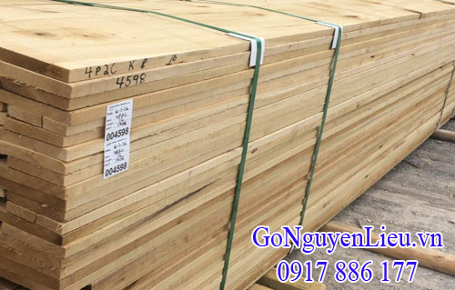 gỗ dương vàng (gỗ poplar) nhập khẩu nguyên kiện