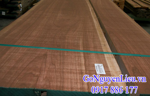 gỗ óc chó (walnut) xẻ sấy nhập khẩu