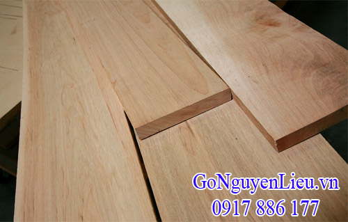 gỗ thích mềm (gỗ soft maple)