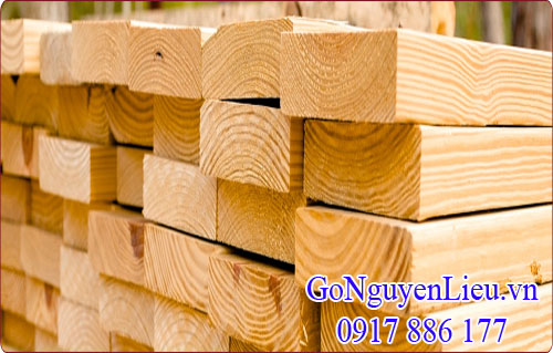 gỗ thông (pine) nhập khẩu rất được ưu chuộng