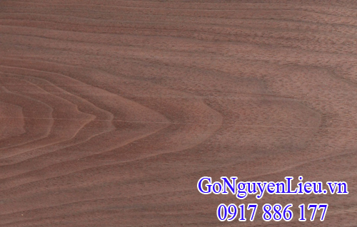 gỗ walnut (gỗ óc chó) nhập khẩu