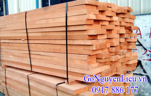 kiện gỗ beech (gỗ dẻ gai) nhập khẩu