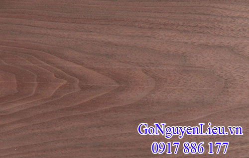 vân gỗ óc chó (gỗ walnut) Mỹ