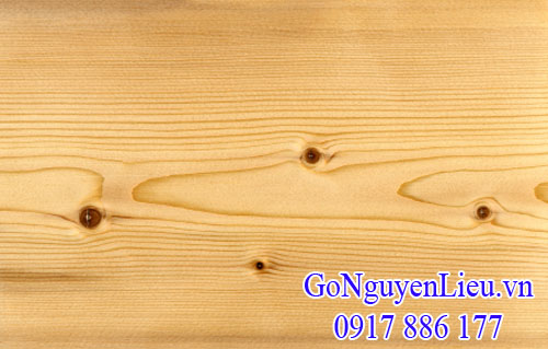 vân gỗ thông (pine) nhập khẩu