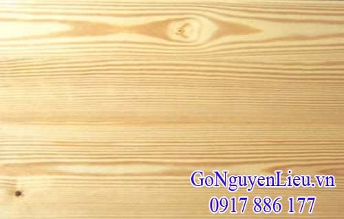 vân gỗ thông vàng (gỗ yellow pine) 